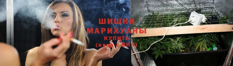 МАРИХУАНА Ganja  Уварово 